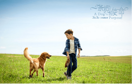 &#20048;&#23478;&#65288;&#20013;&#22269;&#65289;&#26377;&#38480;&#20844;&#21496;&#32;&#124;&#32;&#28020;&#23460;&#32;&#124;&#32;&#20048;&#23478;
