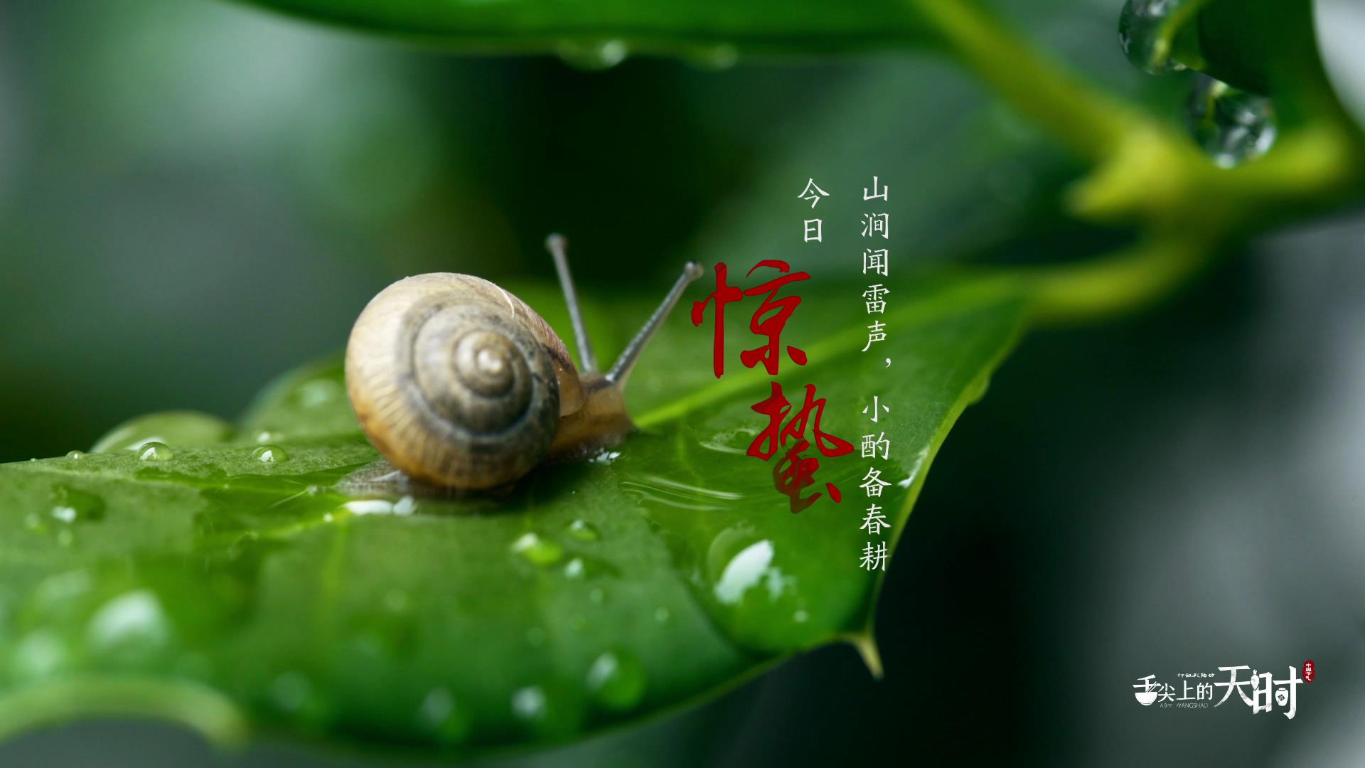 &#20048;&#23478;&#65288;&#20013;&#22269;&#65289;&#26377;&#38480;&#20844;&#21496;&#32;&#124;&#32;&#28020;&#23460;&#32;&#124;&#32;&#20048;&#23478;